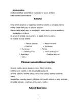 Referāts 'Zaļās joslas misija', 3.