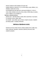 Referāts 'Zaļās joslas misija', 8.