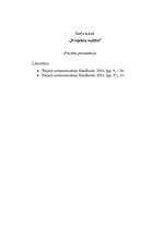 Eseja 'Projekta prezentācija', 1.