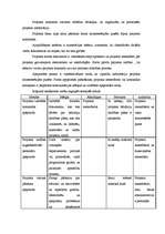 Eseja 'Projekta prezentācija', 4.