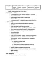 Eseja 'Projekta prezentācija', 6.