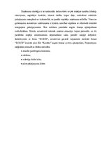 Konspekts 'Uzņēmuma SVID analīze', 2.