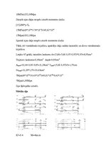 Paraugs 'Sijas aprēķins', 3.