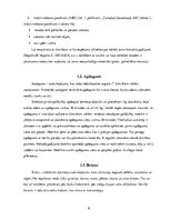 Referāts 'Pirmās palīdzības sniegšana nelaimes gadījumos', 6.