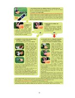 Referāts 'Pirmās palīdzības sniegšana nelaimes gadījumos', 12.