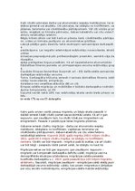 Eseja 'Migrantu krīze', 1.