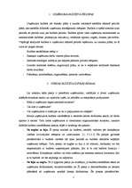 Referāts 'Uzņēmuma budžeta jēdziens un tā sastādīšana', 2.