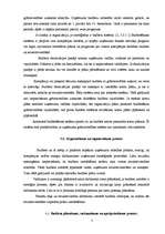 Referāts 'Uzņēmuma budžeta jēdziens un tā sastādīšana', 5.