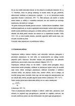 Referāts 'Inflācija un valsts loma ekonomikā', 5.