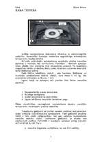 Referāts 'Uguns kauja ar autonomu šaušanu: PzH2000 komandiera apmācība', 3.