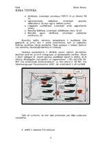 Referāts 'Uguns kauja ar autonomu šaušanu: PzH2000 komandiera apmācība', 4.