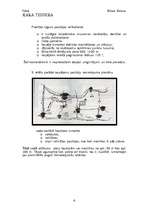 Referāts 'Uguns kauja ar autonomu šaušanu: PzH2000 komandiera apmācība', 6.