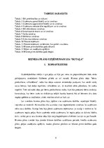 Biznesa plāns 'SIA "Rotaļa" biznesa plāns', 4.