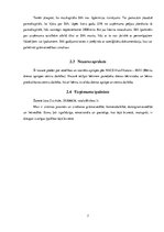 Biznesa plāns 'SIA "Rotaļa" biznesa plāns', 7.