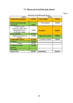 Biznesa plāns 'SIA "Rotaļa" biznesa plāns', 28.