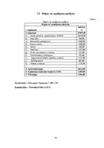 Biznesa plāns 'SIA "Rotaļa" biznesa plāns', 30.