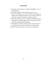 Biznesa plāns 'SIA "Rotaļa" biznesa plāns', 33.