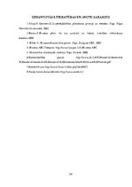 Biznesa plāns 'SIA "Rotaļa" biznesa plāns', 34.