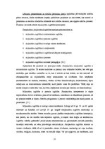 Referāts 'Skolas vadības darbības īpatnības daudzkultūru vidē', 25.