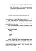 Referāts 'Skolas vadības darbības īpatnības daudzkultūru vidē', 32.