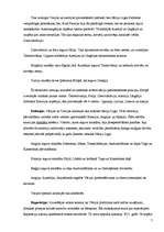 Referāts 'Pirmā pasaules kara cēloņi un sociāli ekonomiskās sekas', 7.