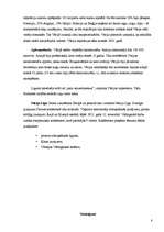 Referāts 'Pirmā pasaules kara cēloņi un sociāli ekonomiskās sekas', 8.