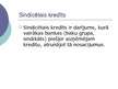 Prezentācija 'Kredītu veidi', 22.