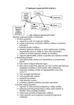 Biznesa plāns 'SIA "Sales Leader"', 5.