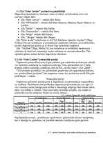 Biznesa plāns 'SIA "Sales Leader"', 9.