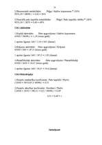 Biznesa plāns 'SIA "Sales Leader"', 18.