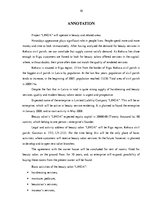 Diplomdarbs 'Skaistumkopšanas salona izveidošanas biznesa plāns', 10.