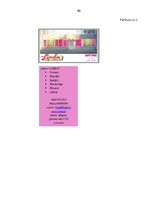 Diplomdarbs 'Skaistumkopšanas salona izveidošanas biznesa plāns', 88.