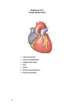Referāts 'Koronārās sirds slimības un to riska faktori', 31.
