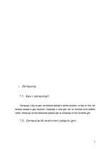 Referāts 'Zemapziņa', 3.