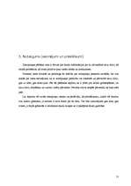 Referāts 'Zemapziņa', 13.