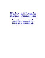 Referāts 'Koka pūšamie instrumenti', 1.