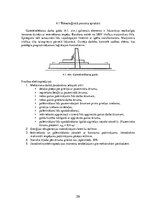 Paraugs 'Elektriskās piedziņas teorētiskie pamati', 29.