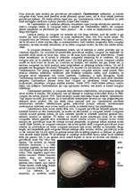 Referāts 'Melnais caurums', 2.