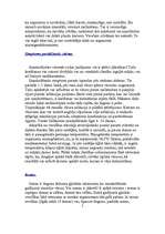 Referāts 'Elpošanas ceļu slimības - saaukstēšanās', 2.