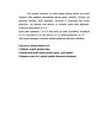 Prakses atskaite 'Sociālā gadījuma apraksts', 4.