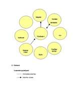 Prakses atskaite 'Sociālā gadījuma apraksts', 6.