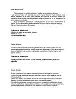 Prakses atskaite 'Sociālā gadījuma apraksts', 10.