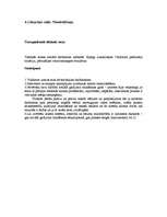 Prakses atskaite 'Sociālā gadījuma apraksts', 13.