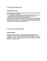 Prakses atskaite 'Sociālā gadījuma apraksts', 14.