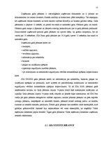 Prakses atskaite 'Prakses atskaite grāmatvedībā', 13.