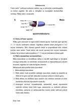 Referāts 'Mežsaimniecība', 7.