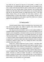 Referāts 'Budisms', 6.