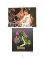 Referāts 'Budisms', 26.