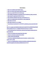 Referāts 'Twitter revolūcijas Tuvajos Austrumos', 9.