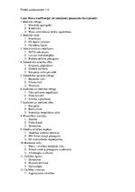 Paraugs 'Riska teorija', 1.